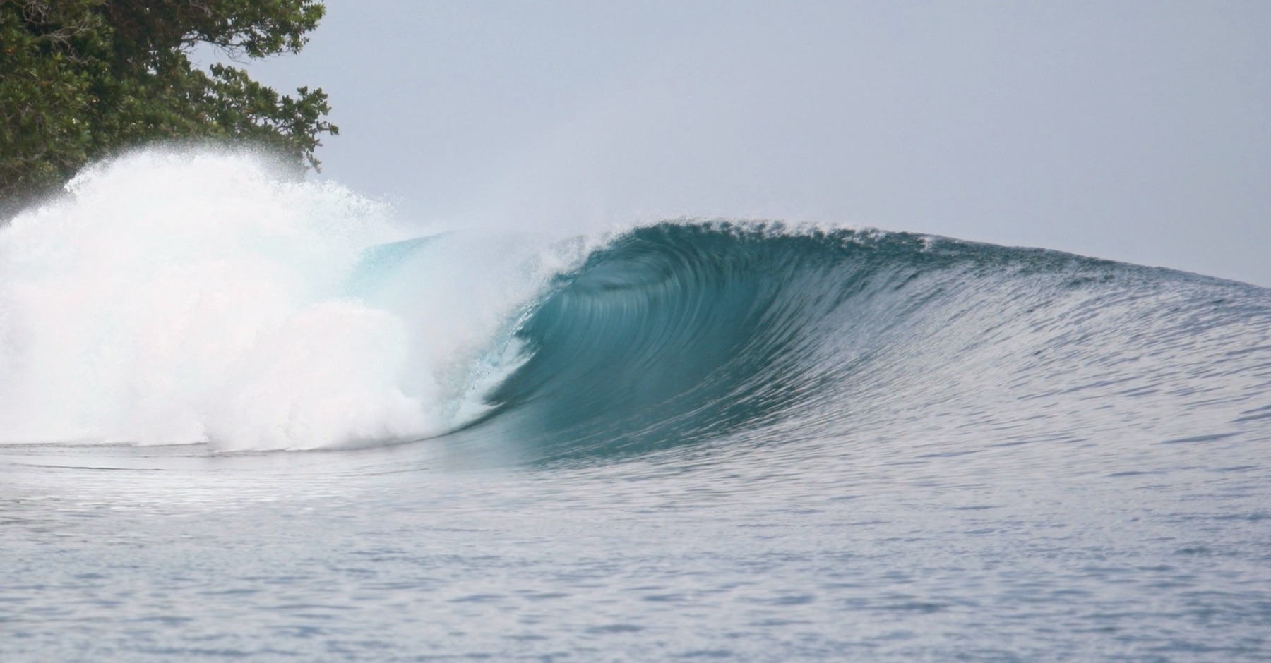A long empty left peeling down the reef at Lolok Point