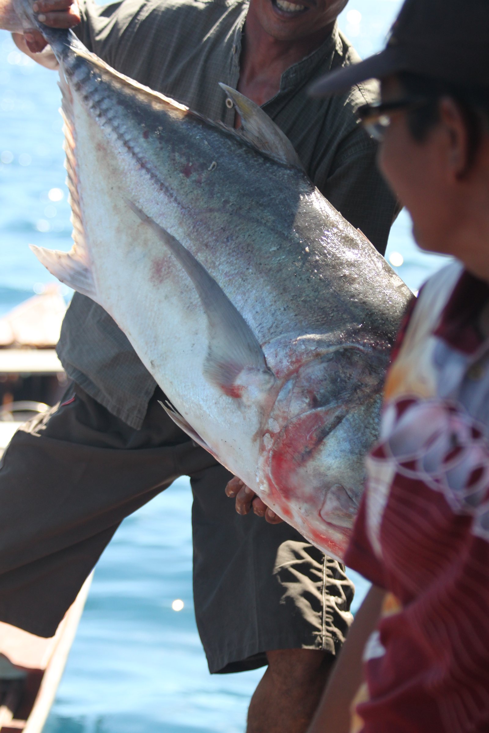 A large silver fish held aboard a fishing boat