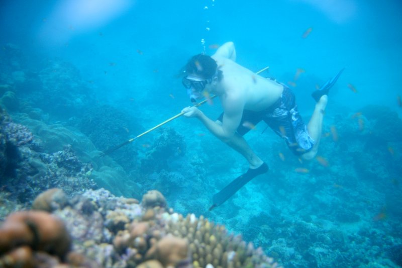 A freediver with long fins and a speargun above a coral reef