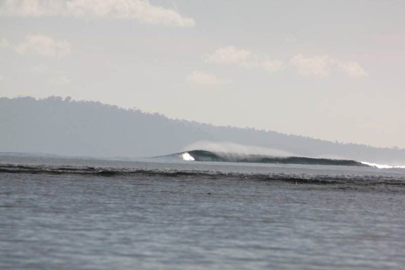 Camel Backs: Surf at Camel Backs