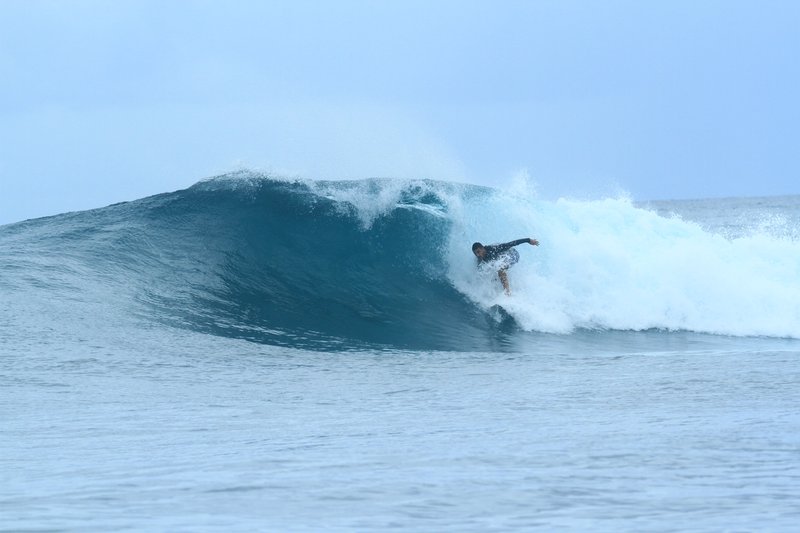 Shortys: Surf at Shorties