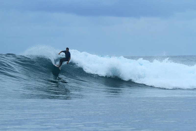 Shortys: Surf at Shorties